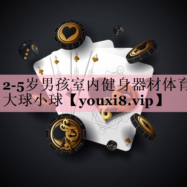 <strong>2-5岁男孩室内健身器材体育大球小球</strong>