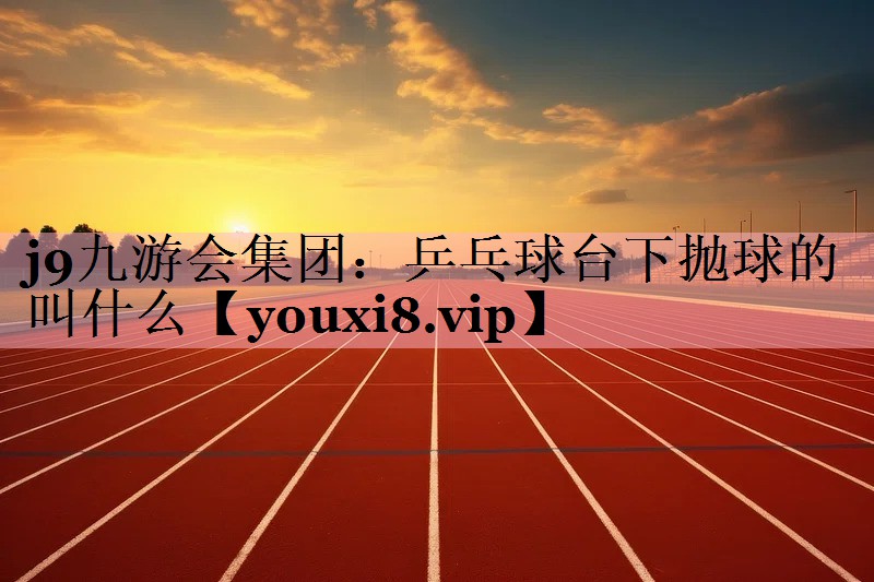 乒乓球台下抛球的叫什么